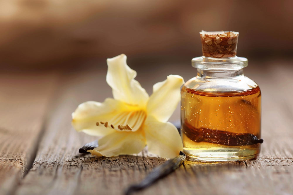 Parfum vanille léger : comment trouver une fragrance non sucrée et élégante ?