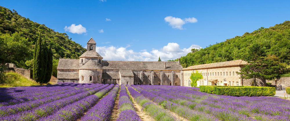 Le secret des parfums de Grasse : pourquoi la provenance change tout