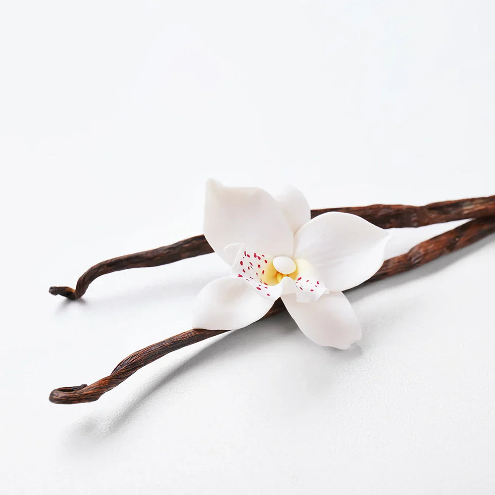 Pourquoi les parfums à la vanille plaisent autant ? Analyse d’une note intemporelle