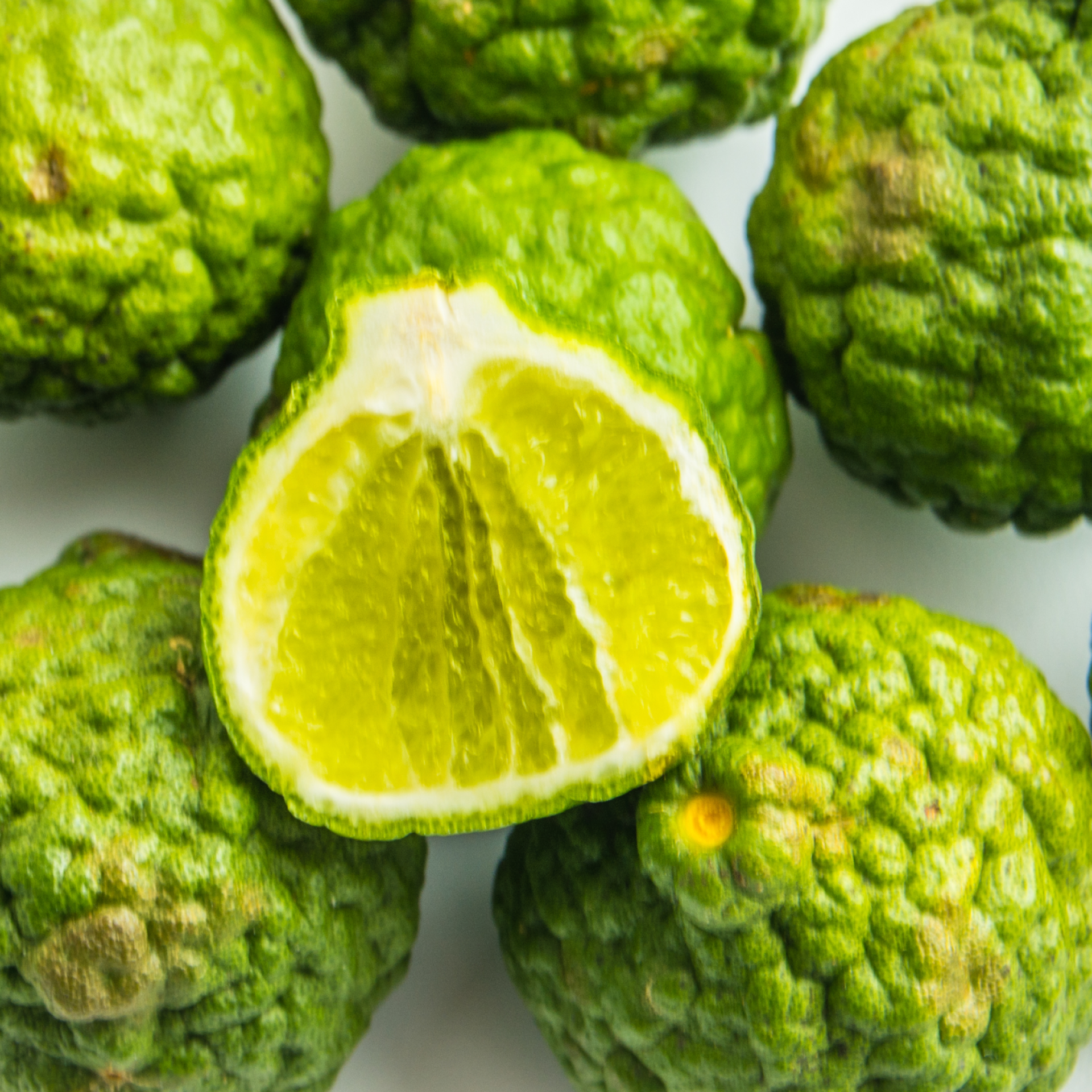 Bergamote