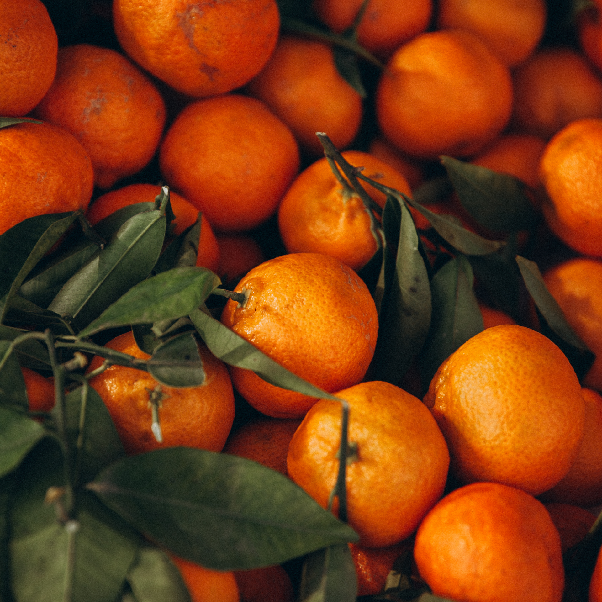 Mandarine