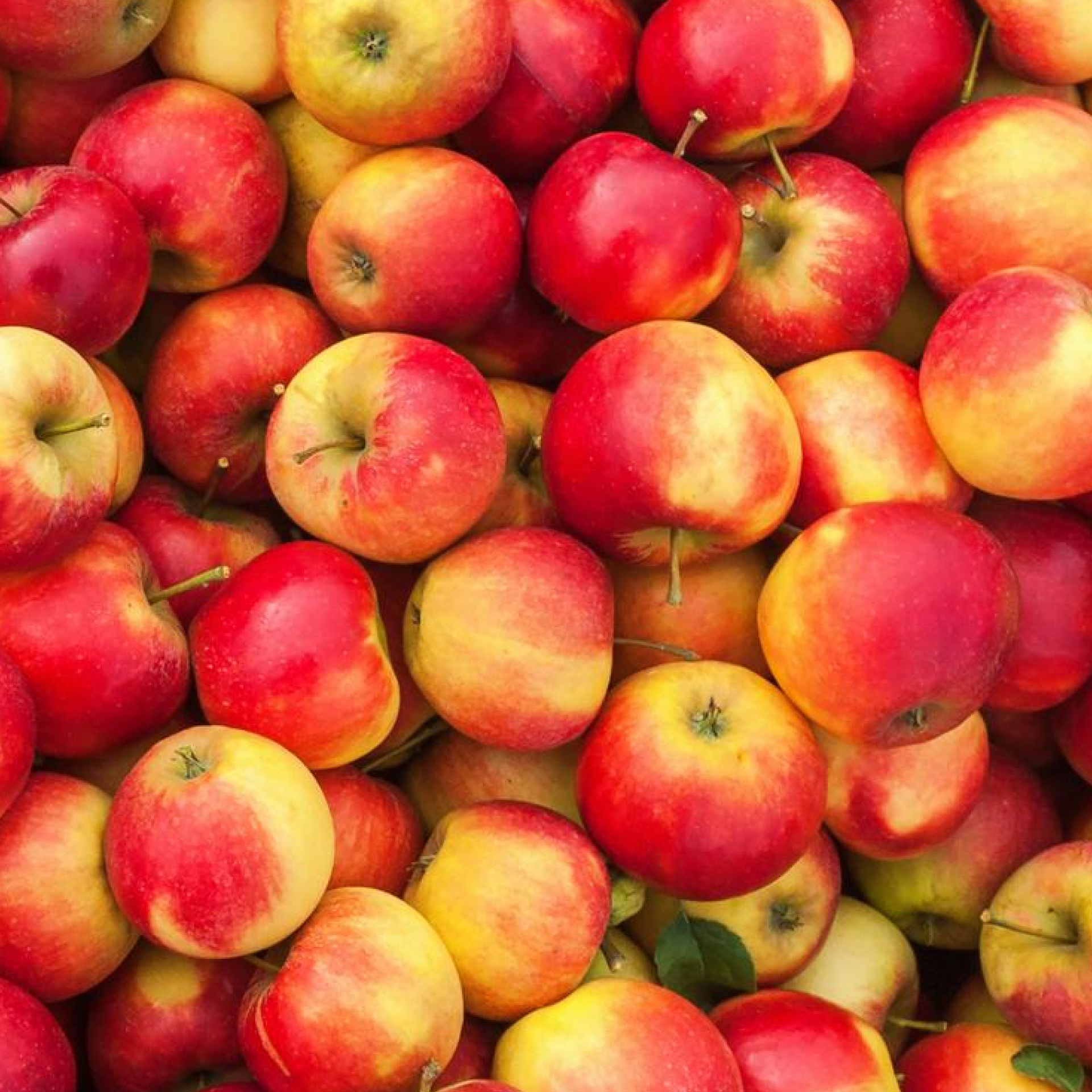 Pomme