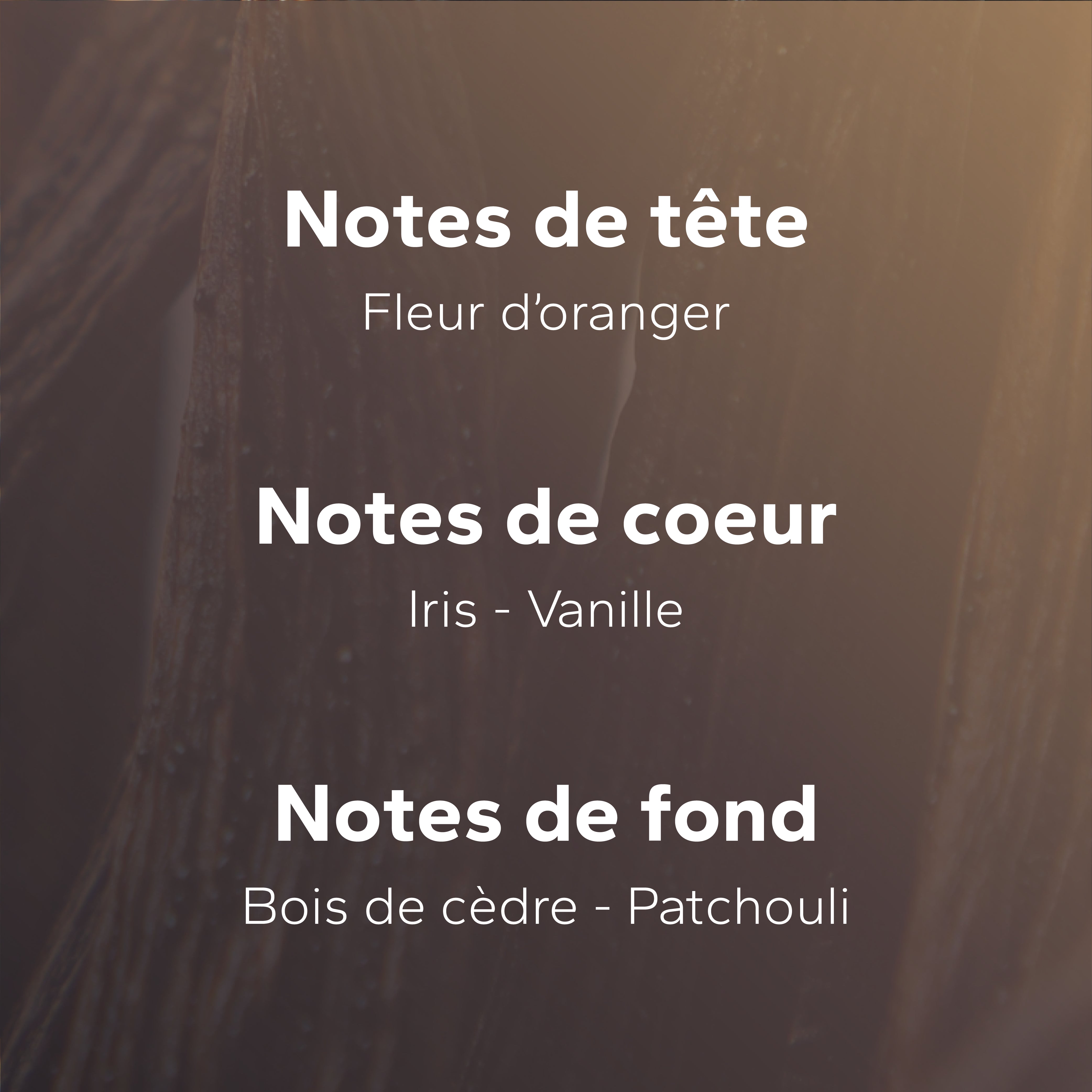 Iris Velours (ex Floral) GabaritIrisVelours-04_b24283f7-c506-4502-8c00-d8e4f4a58140