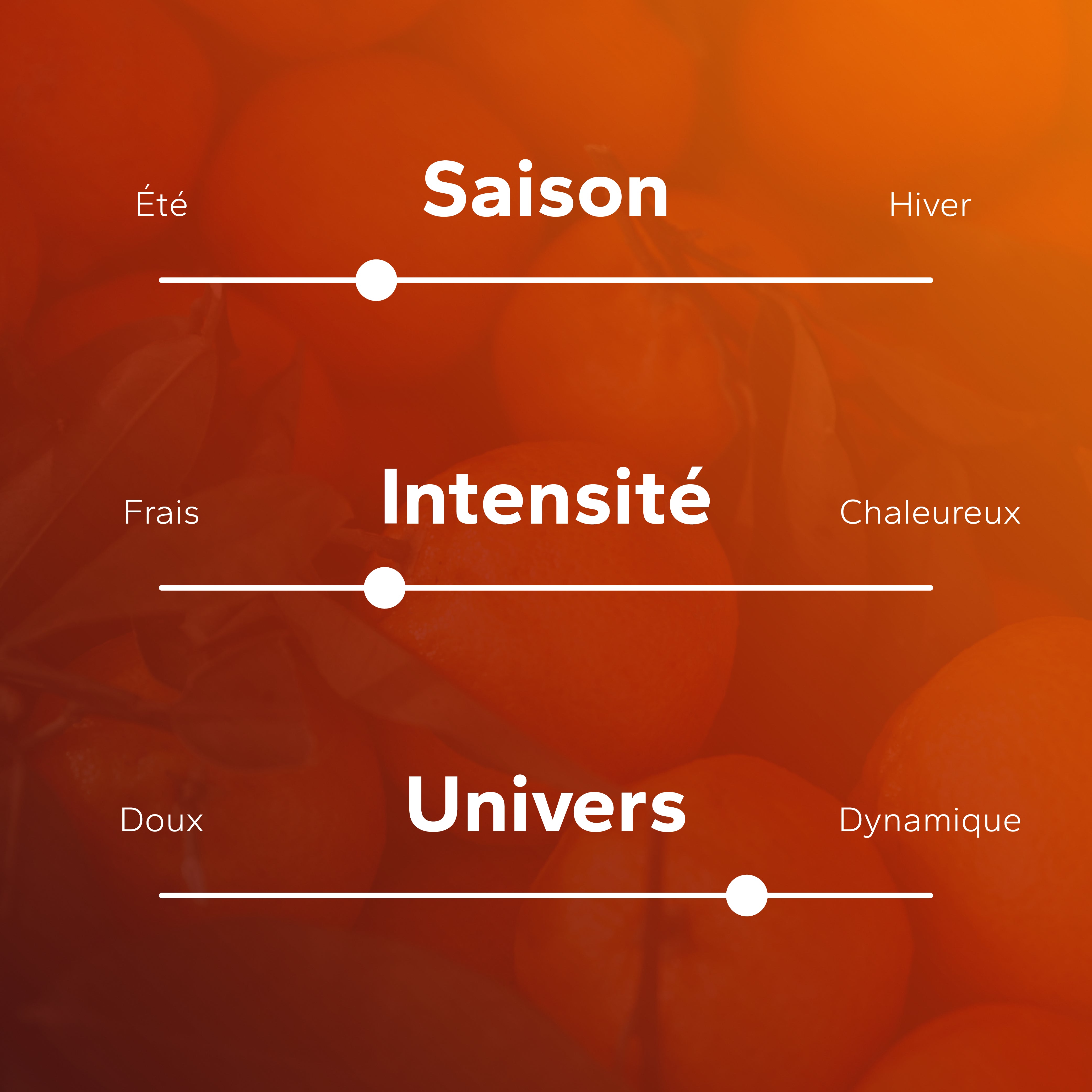 Mandarine Azur (ex Fruité) GabaritMandarineAzur-03_4d58c038-d724-4e6a-bed4-f61ee5ea600f
