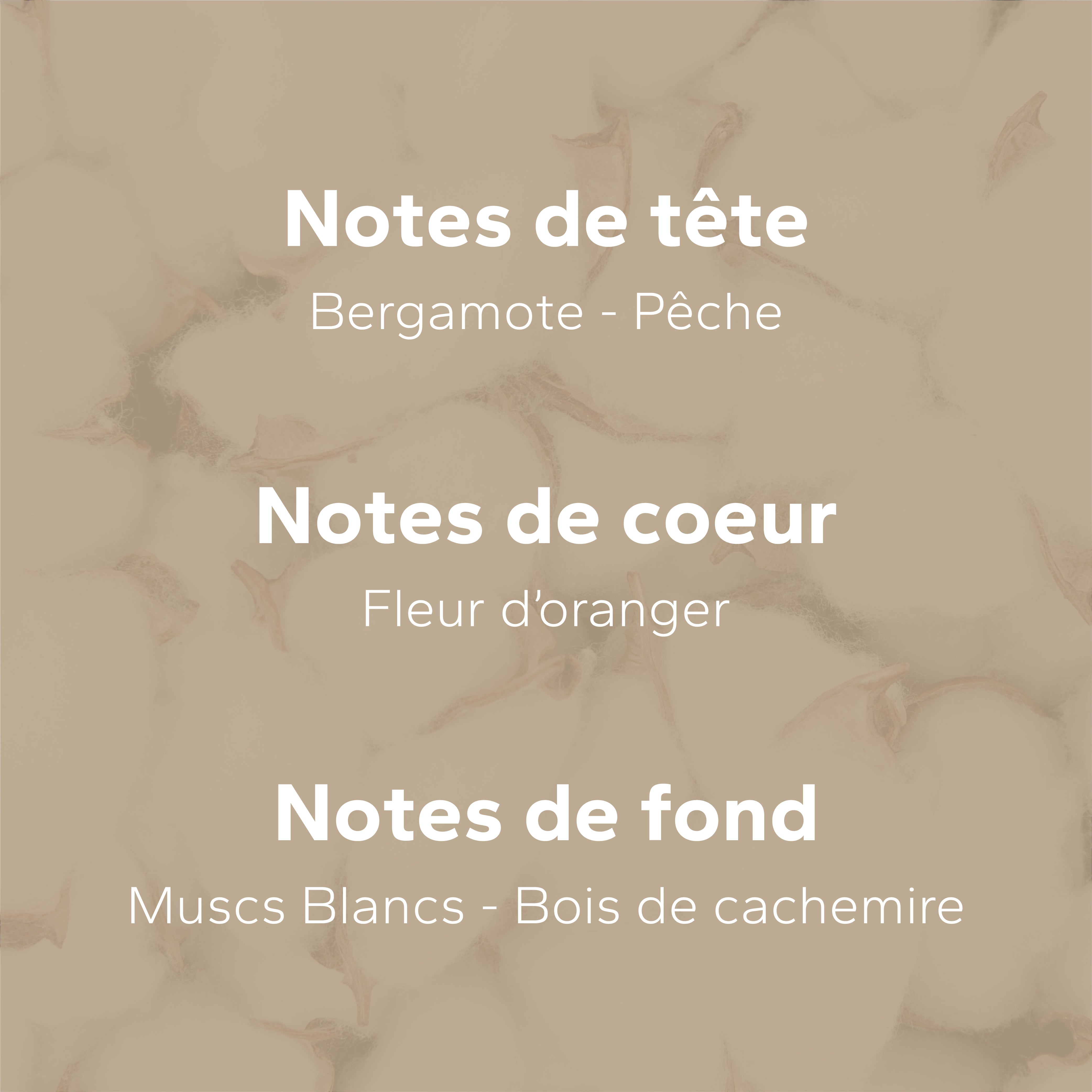 Muscs Blancs GabaritMuscsBlancs-04_75543e8f-6faa-4124-9741-89ab8d4977a1