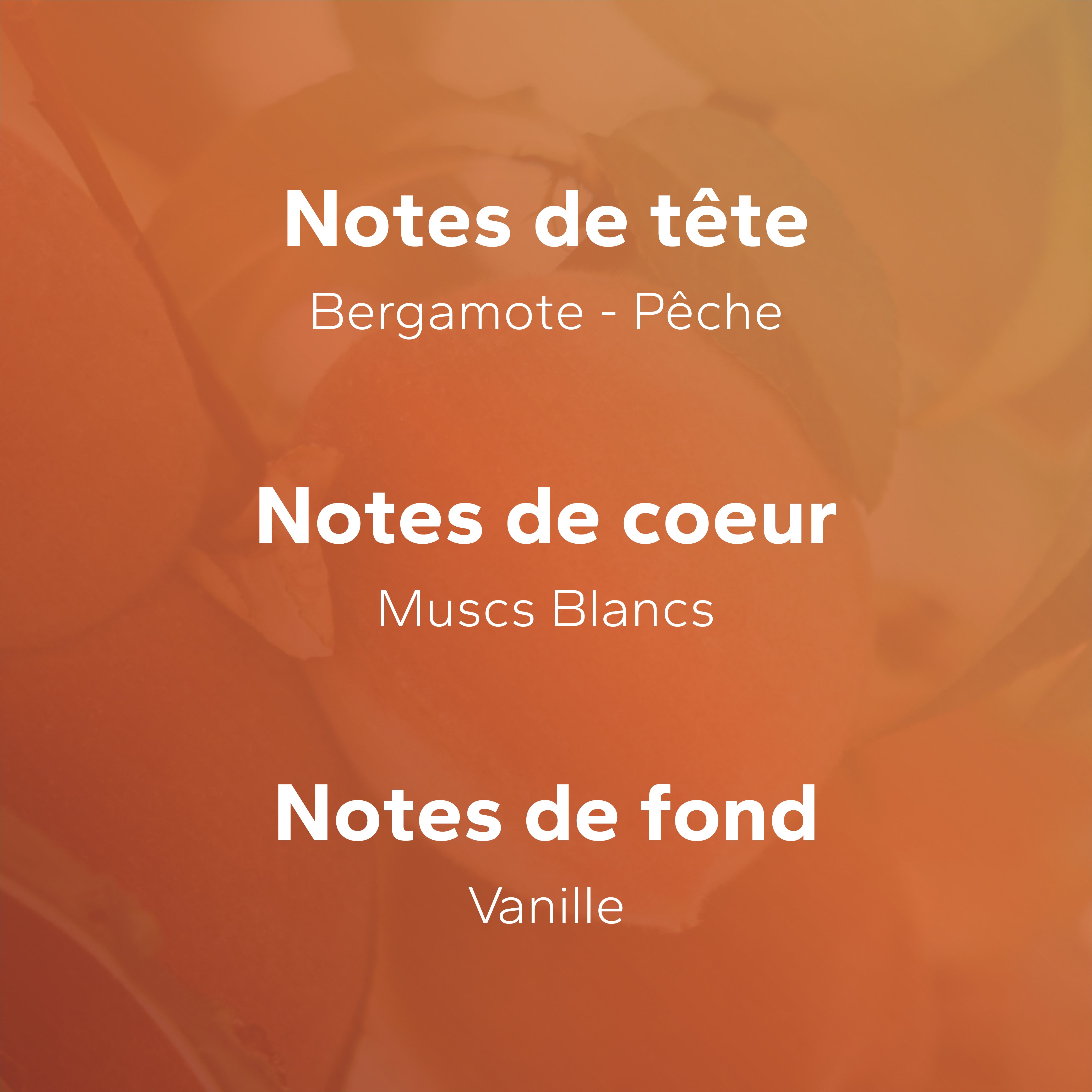 Muscs Blancs (ex Propre) GabaritMuscsBlancs-04_e2bb66e4-aa00-4e61-988a-6539af57feee