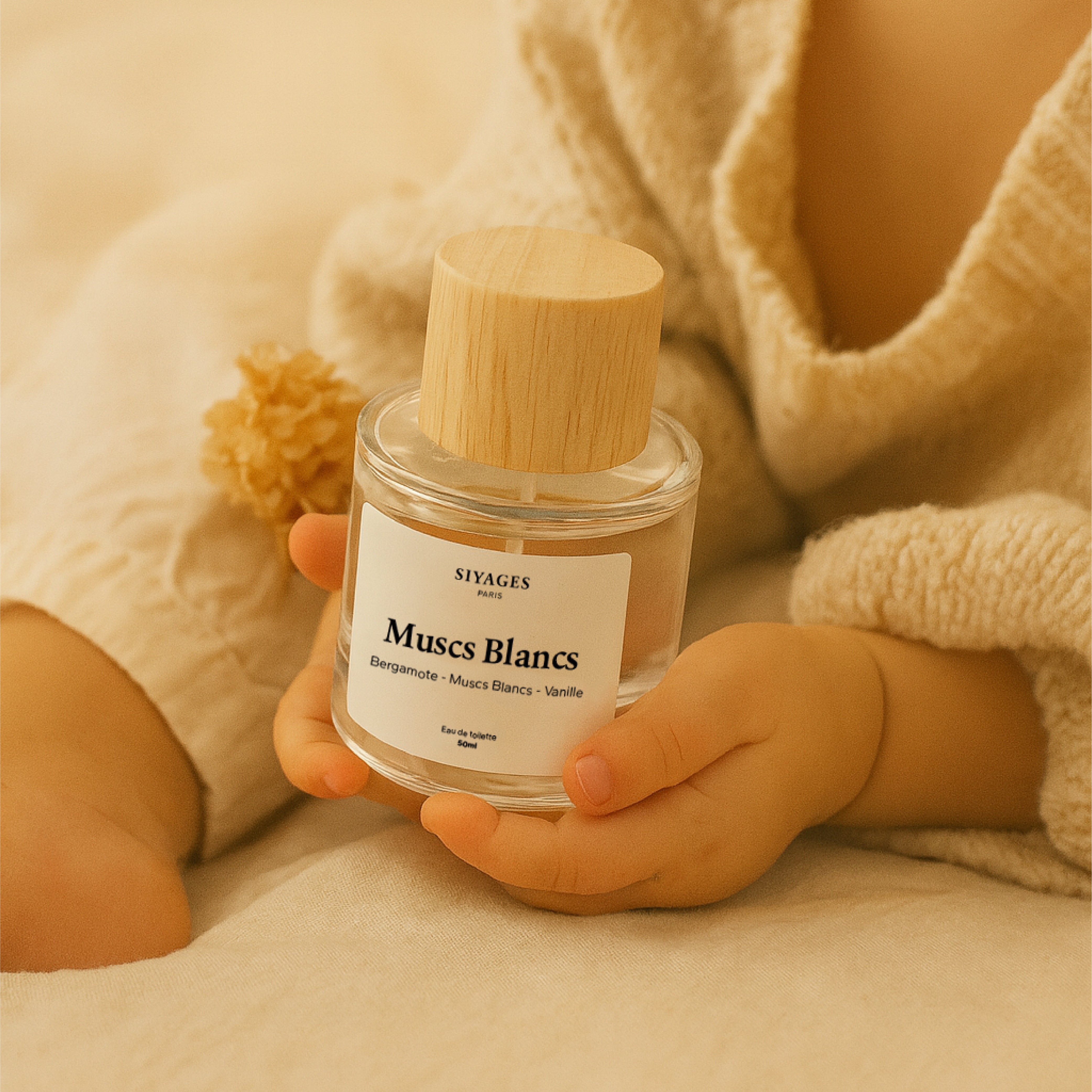 Muscs Blancs (ex Propre) GabaritMuscsBlancs-08_d433beb2-dd15-4329-a222-81b9a6d3793a