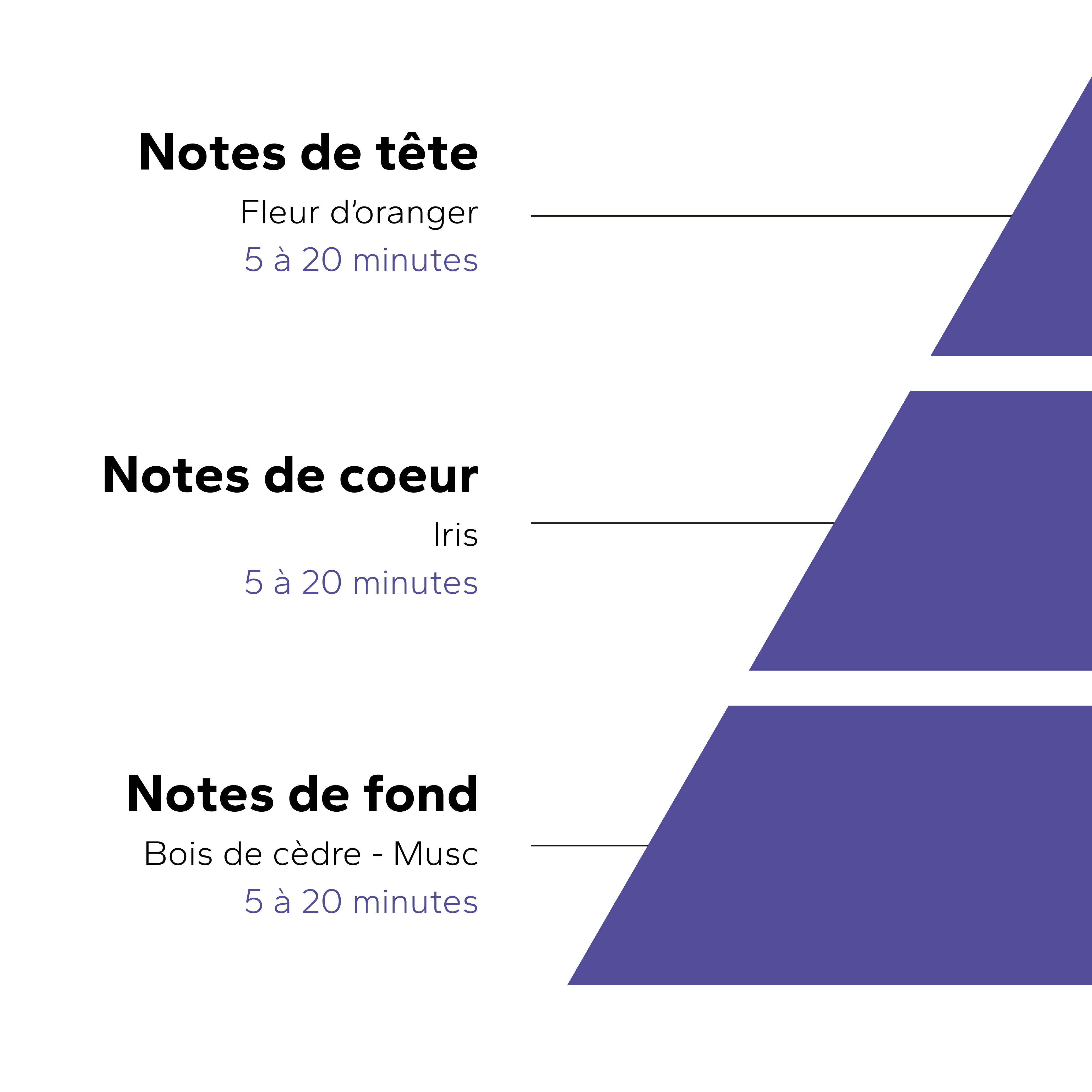 Coffret totebag Iris Velours GabaritTotebagIrisVelours-04