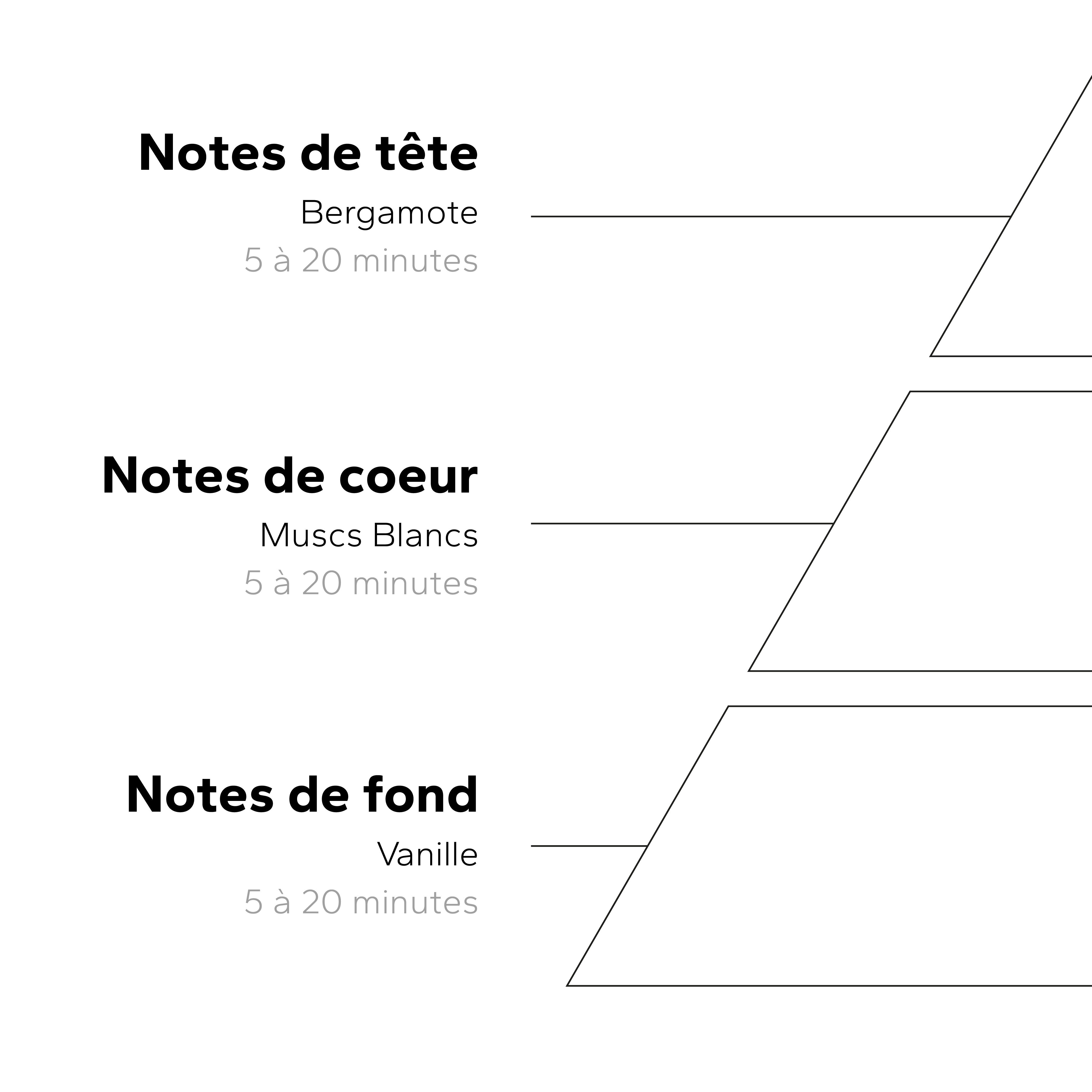 Coffret totebag Muscs Blancs GabaritTotebagMuscsBlancs-04