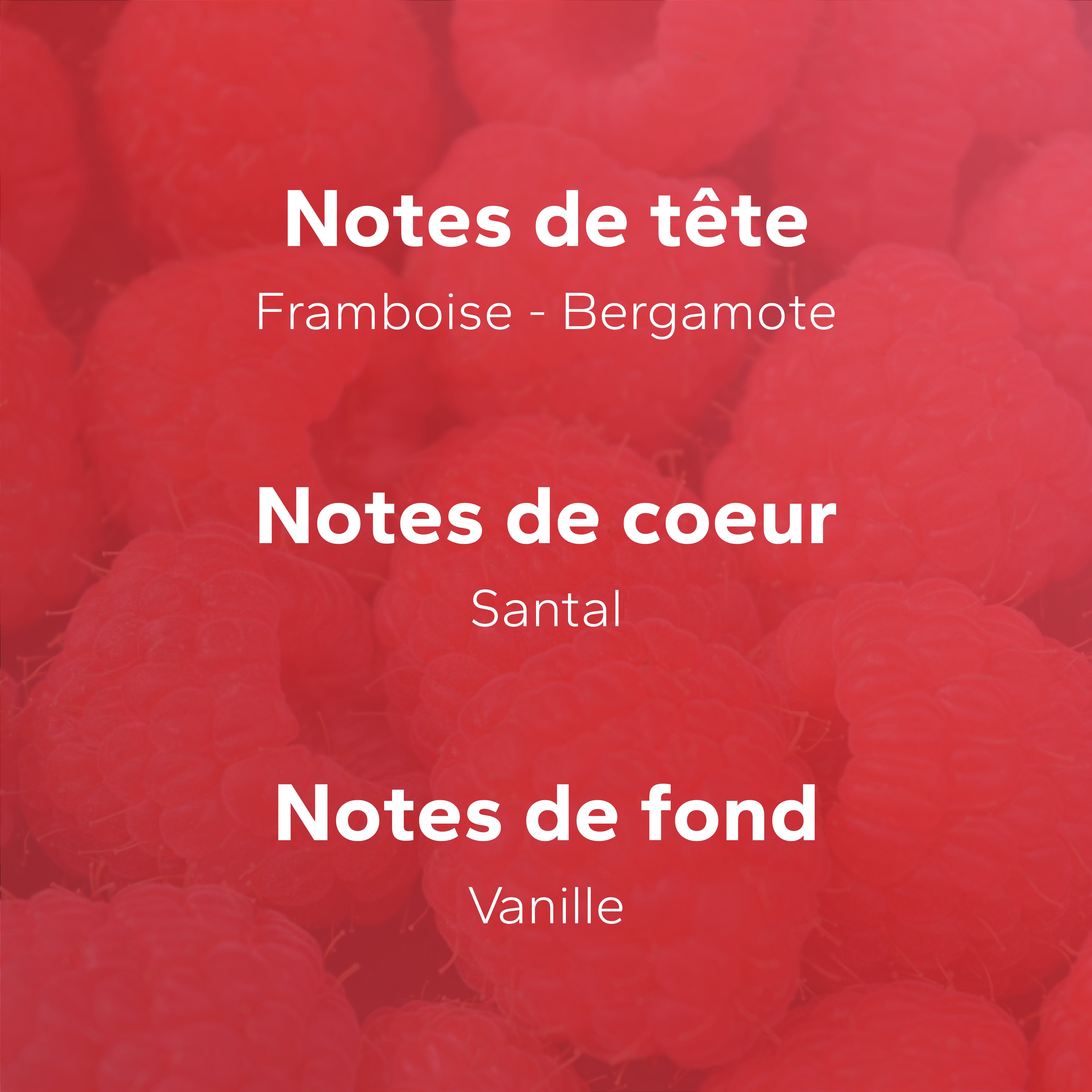 Vanille Rubis GabaritVanilleRubis-04