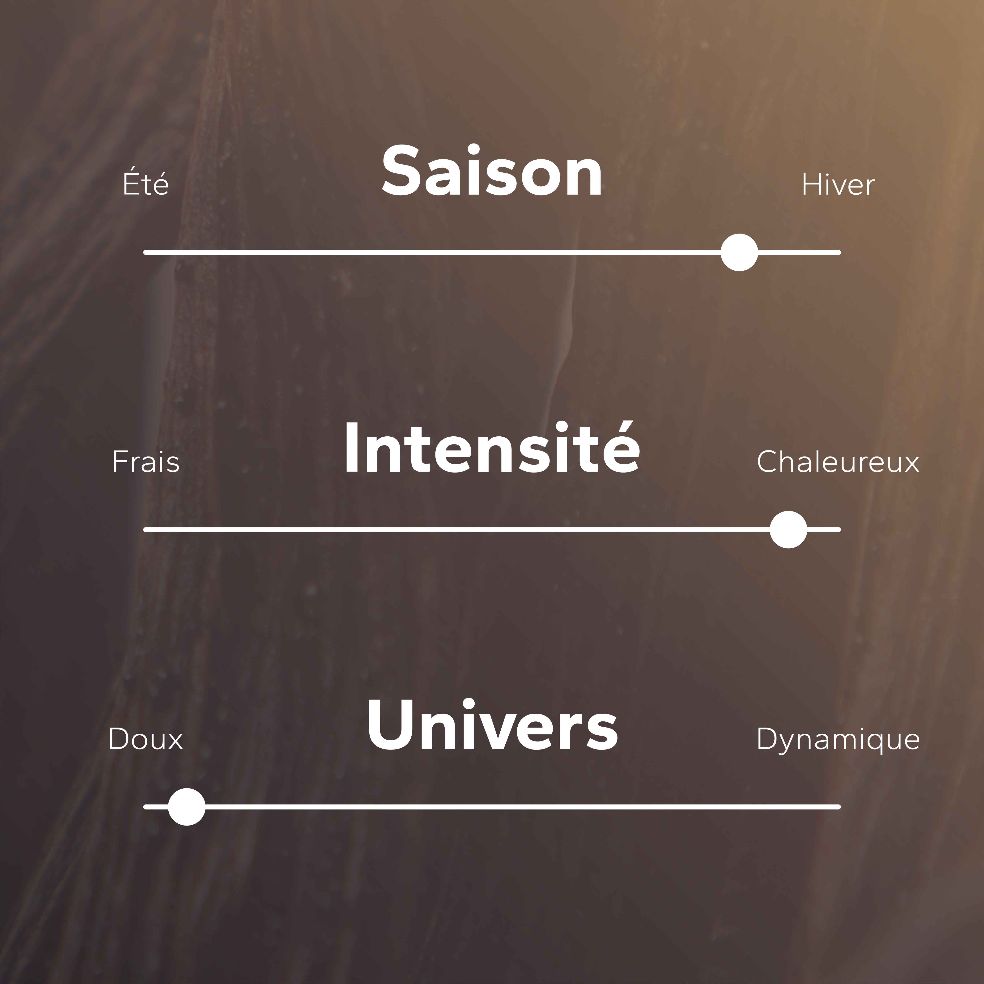 Vanille Rubis GabaritVanilleRubisJauge