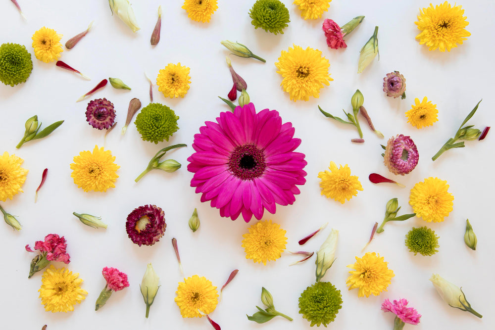 Les tendances olfactives des parfums pour enfant en 2025