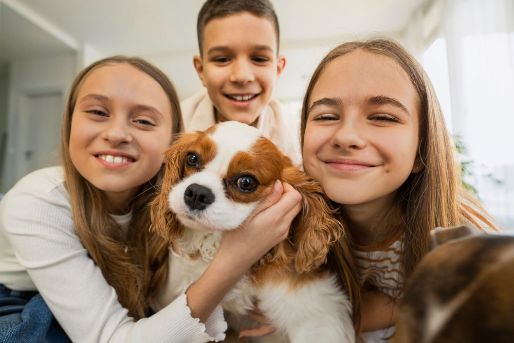 Idée cadeau pour un enfant fan de nature ou d’animaux : 12 pistes qui font mouche (2025)