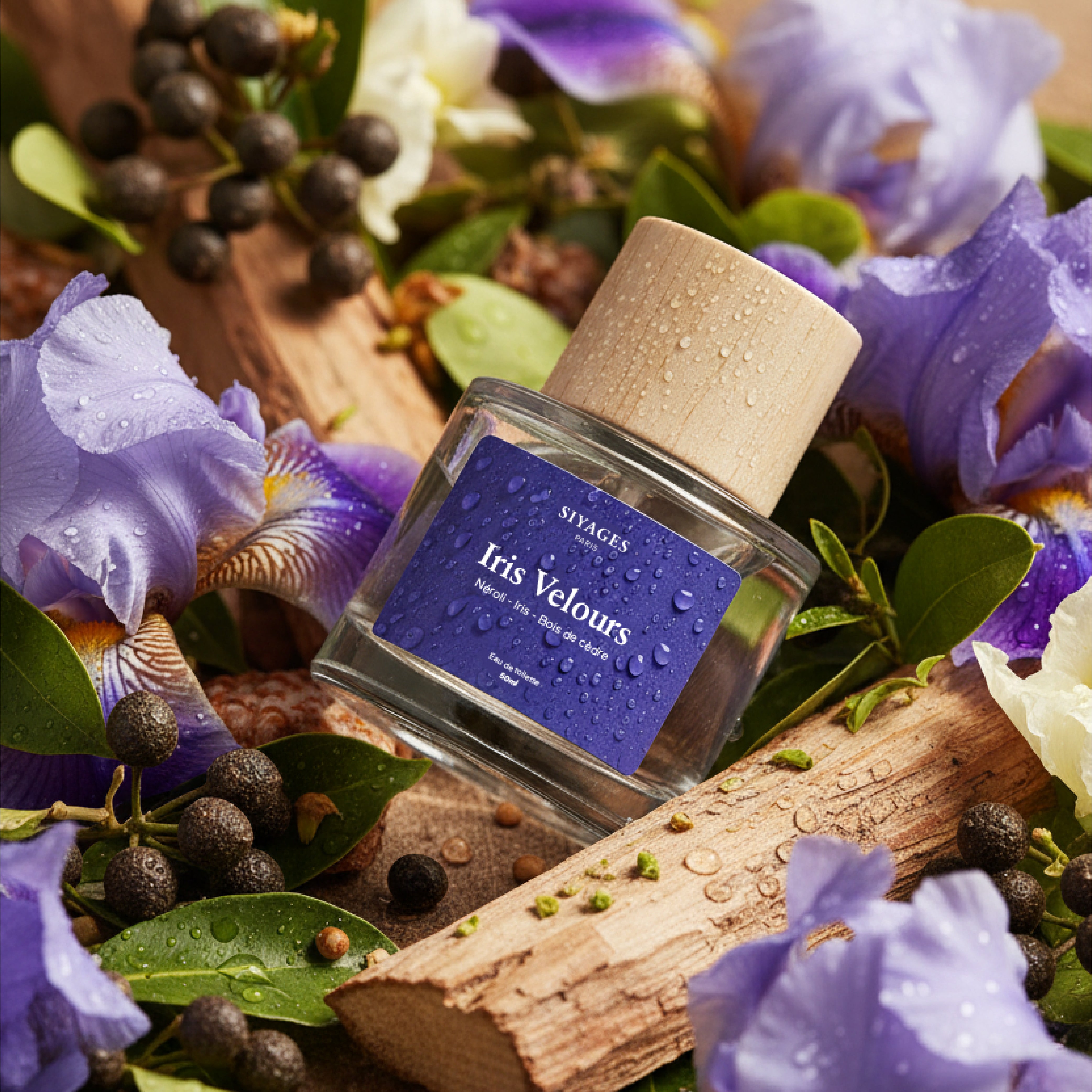 Iris Velours (ex Floral) GabaritIrisVelours-07_b2447bfa-e5d1-4ff2-aad7-ed2a59380b20