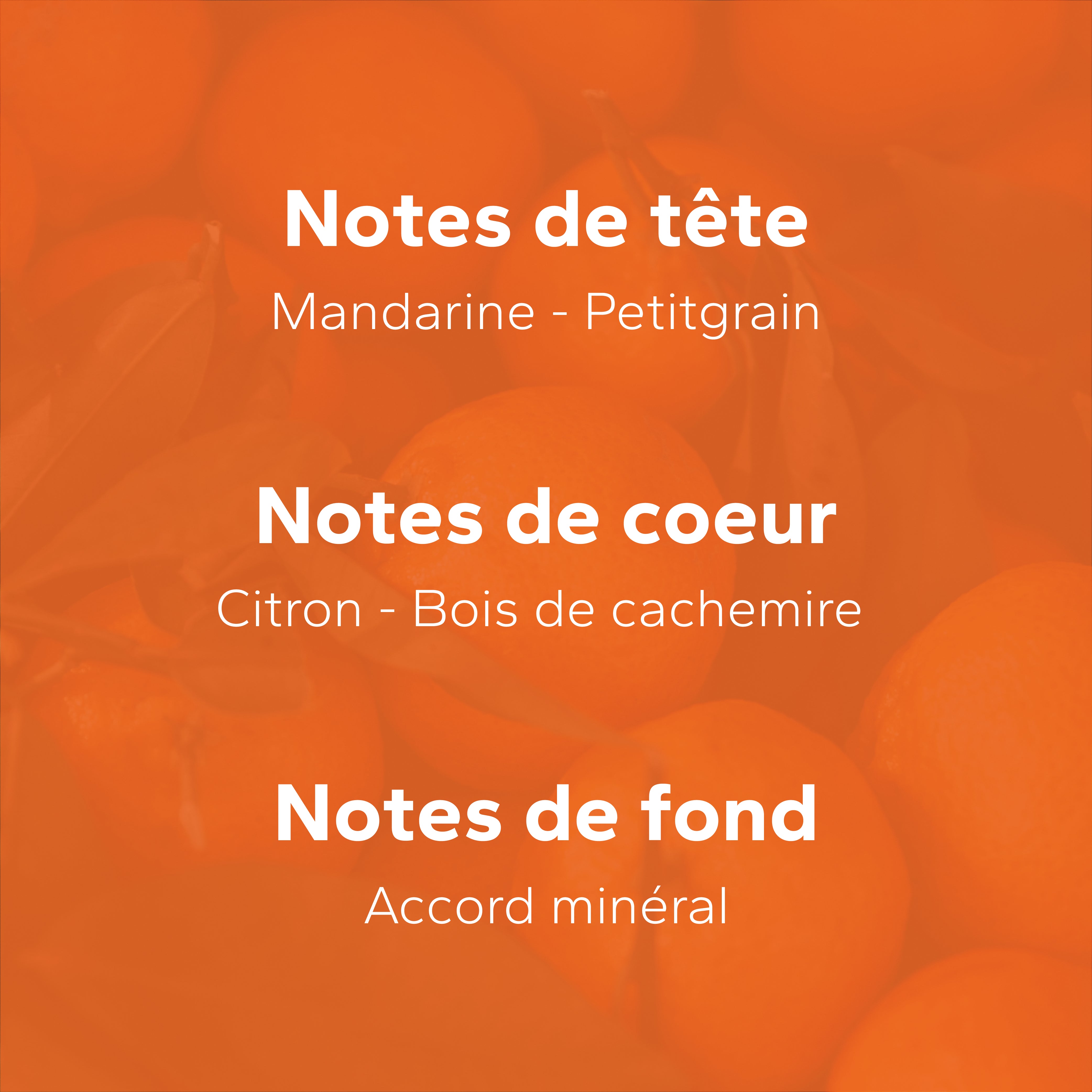 Mandarine Azur GabaritMandarineAzur-04_0c53d7b1-7dbb-4299-ba50-aa65407c5cf9