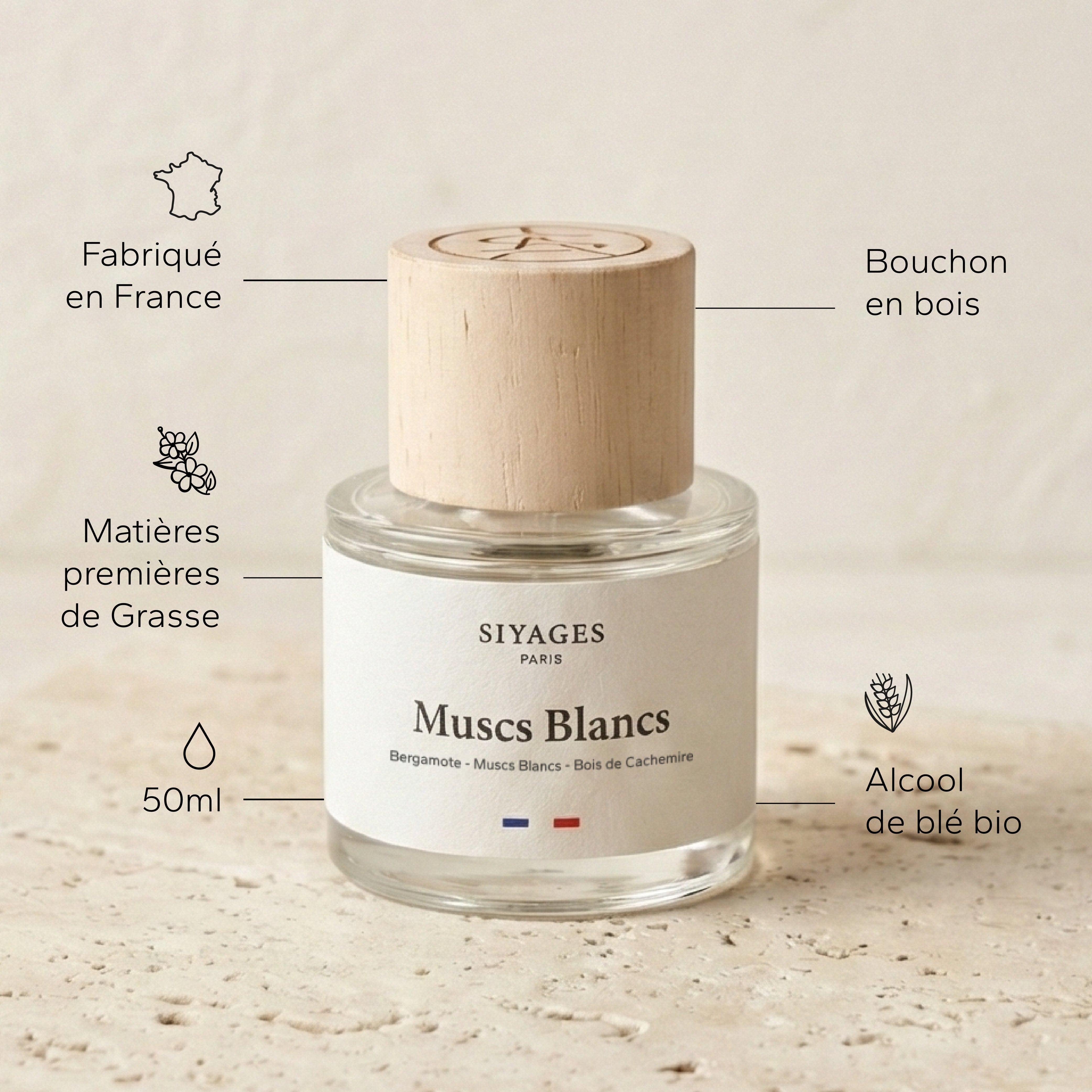 Muscs Blancs GabaritMuscsBlancs-05_2637c537-7e68-4f30-9760-6c294d563d4e