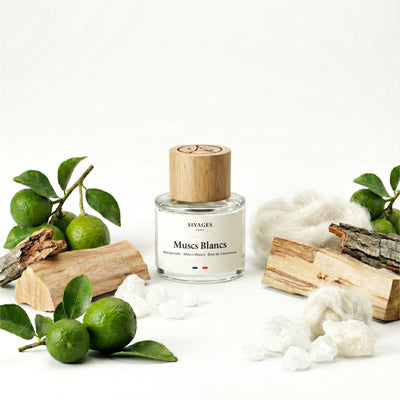 Muscs Blancs GabaritMuscsBlancs-07_f5226078-aff6-49ca-bdaf-7ac12a3cf4ca