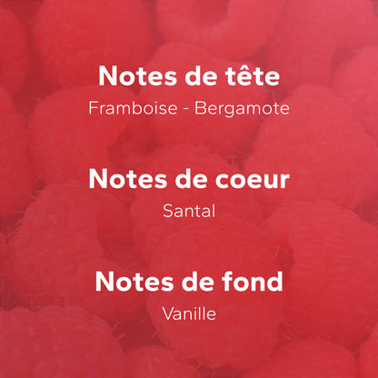 Vanille Rubis GabaritVanilleRubis-04