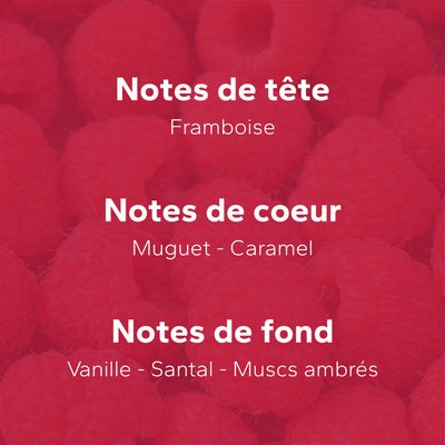 Vanille Rubis GabaritVanilleRubis-04_e6e7a4f7-5e68-416d-bf6b-f4f14fe0507d