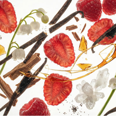 Vanille Rubis GabaritVanilleRubis-09_8c6228be-8e87-416c-a963-a5e5c06f5b42