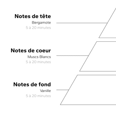 Coffret Voyages Muscs Blancs GabaritVoyageMuscsBlancs-04