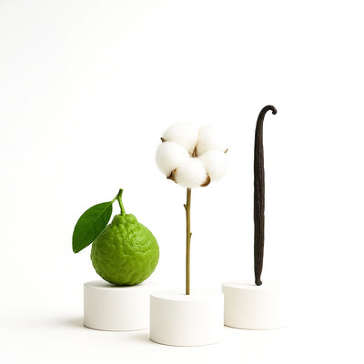 Coffret Voyages Muscs Blancs IngredientsMuscsBlancs