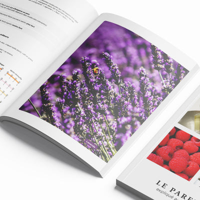 Livret - Le parfum expliqué aux enfants Leparfumexpliqueauxenfants-08